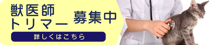 獣医師・トリマー募集中